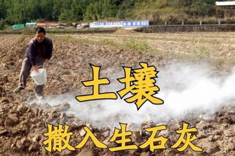 怎样做到施足底肥,适时追肥？