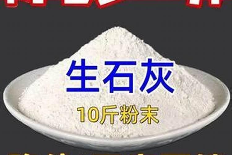 撒完生石灰马上种菜