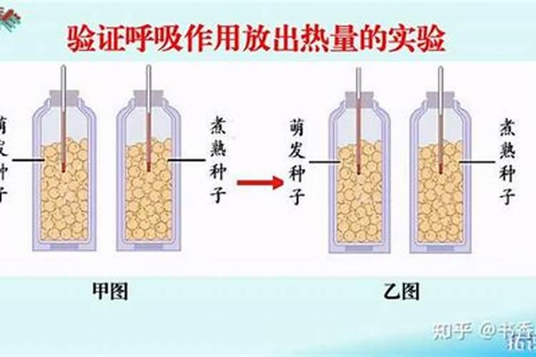 柑橘施什么肥可以增加甜度(柑橘施叶面肥果子会很甜)