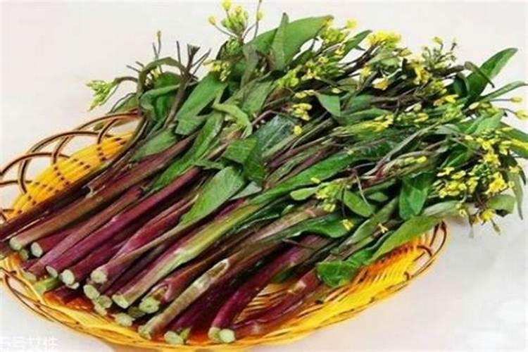 中秋节前后适合种什么菜？