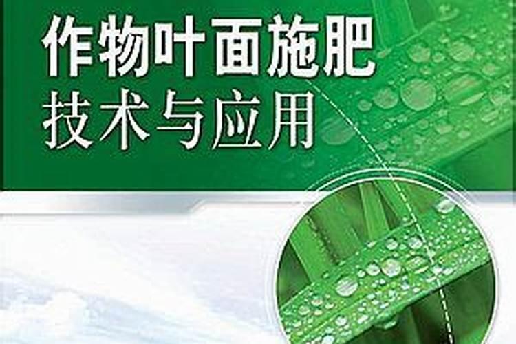 叶面肥和根部追肥有什么区别