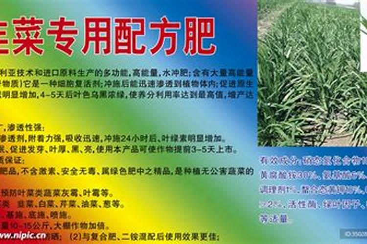 韭菜上啥肥料长得好