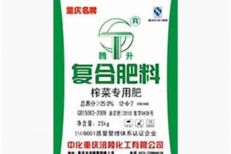 榨菜什么时候种植最好
