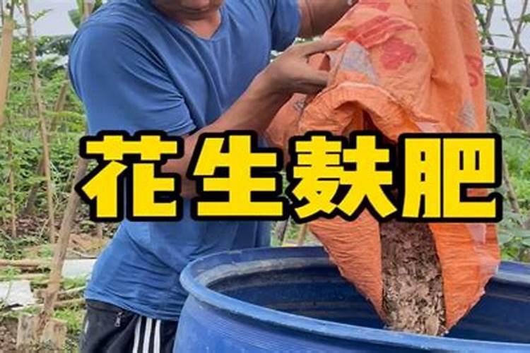 怎样做才能使韭菜长得叶肥好吃无污染？