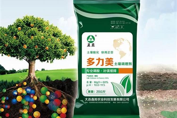 莲黑花1号栽培技术要点
