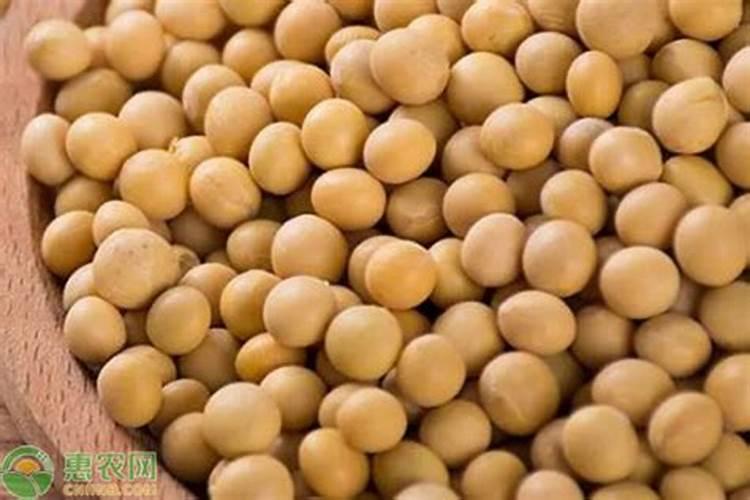 种绿豆用什么肥料好 施肥方法有哪些