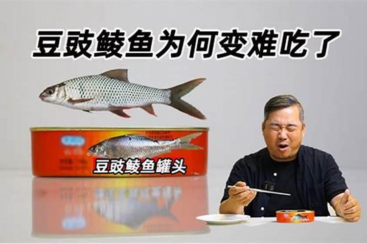 网上卖的桶装鱼蛋白都是真的吗