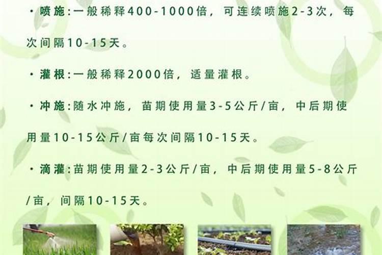 含有碳酸钾的面条能吃吗