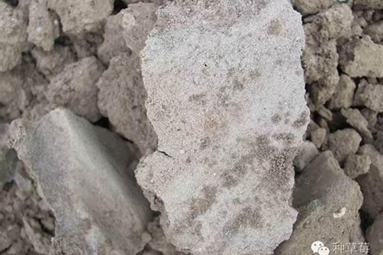 基肥应选择什么钾肥