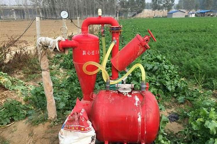 甜瓜定植后怎样施增甜肥效果好
