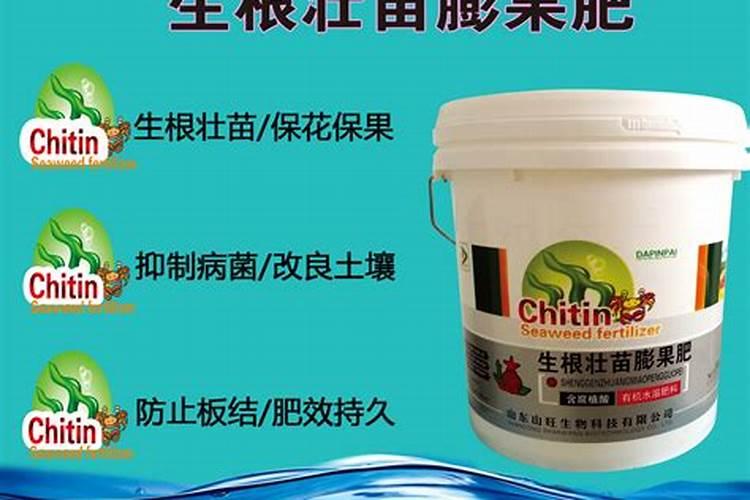 木瓜的产地主要是在哪里的呢？木瓜在我国的什么省份有种植的呢？