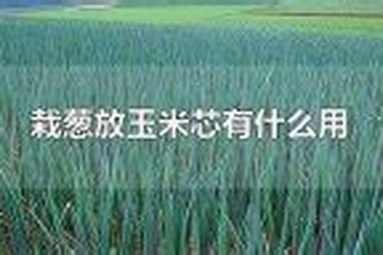 小葱追肥用复合肥还是用尿素