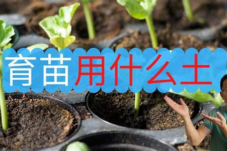 氯化钾在水稻那个生长期用最好？