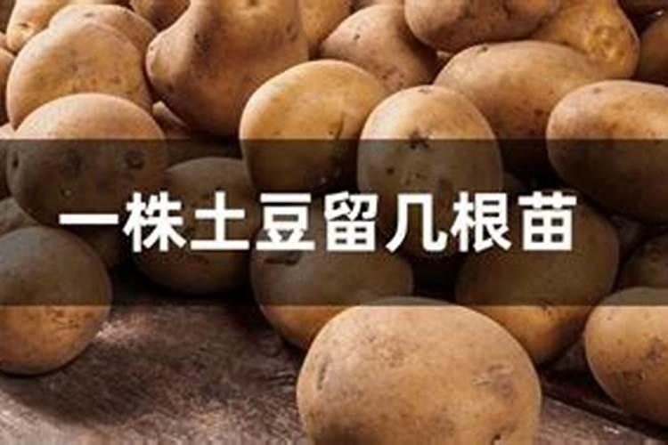 土豆出苗后多久施肥 土豆出苗后如何施肥