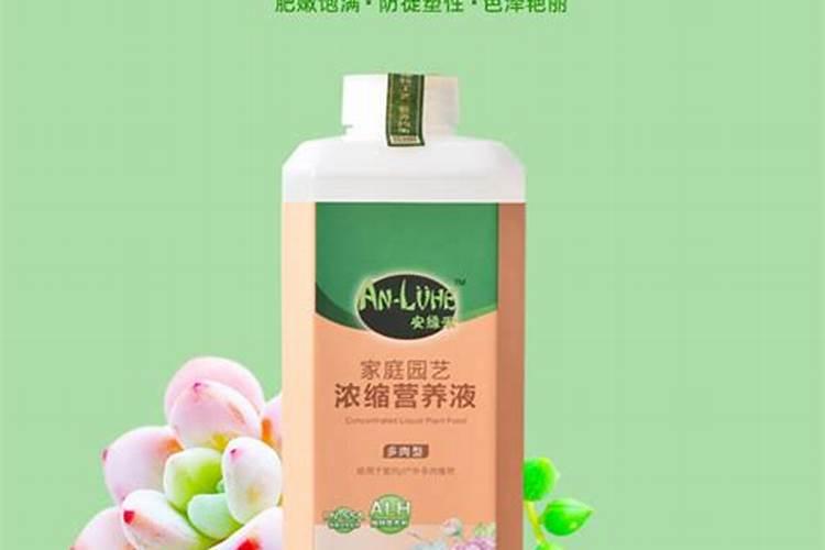 多肉植物施什么肥好