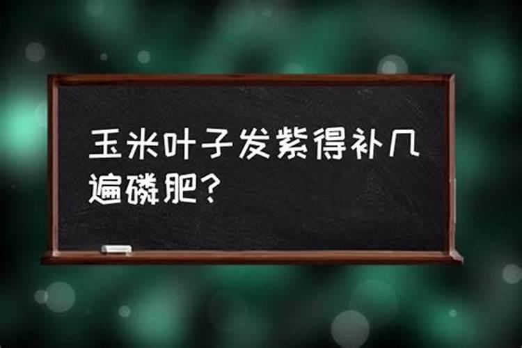 速效肥有哪些