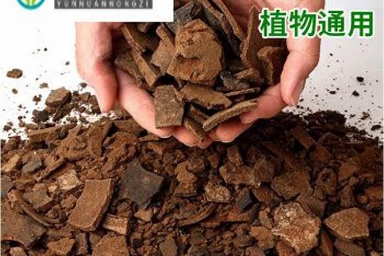 家庭养花常用肥料有哪些