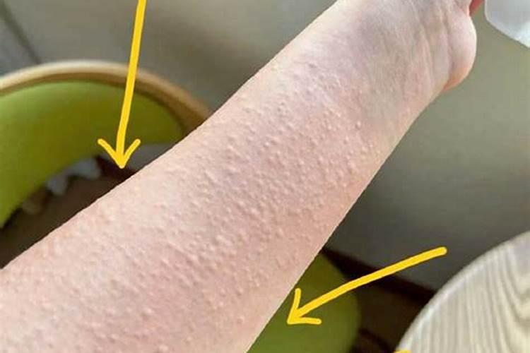 金钱串怎么养？