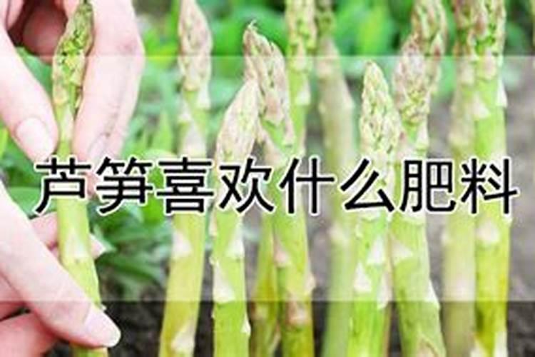 鱼蛋白水溶肥制作方法