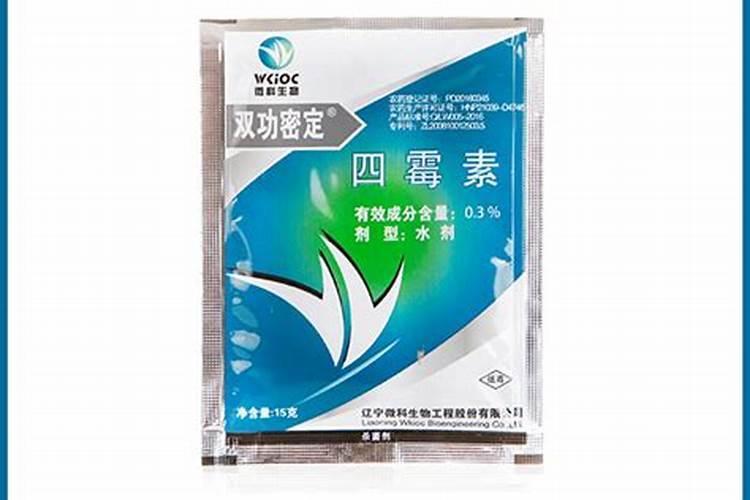 黄皮甘蔗是种双排好还是单排好？