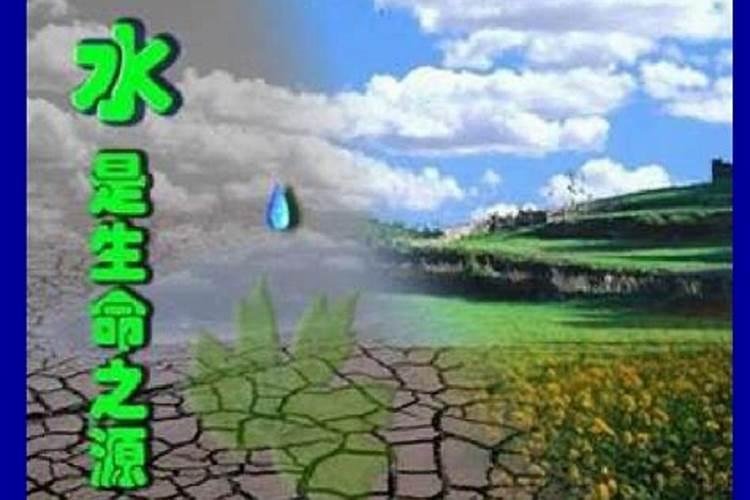 水溶肥是否更加简单便捷有效？