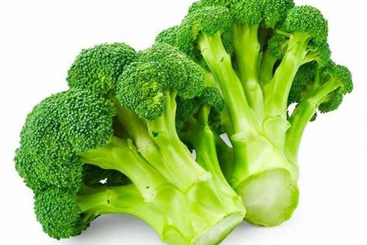 西兰花怎么种植和管理