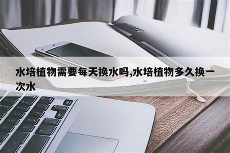盆栽植物多久施一次肥 盆栽植物肥料施用频率是多久一次？