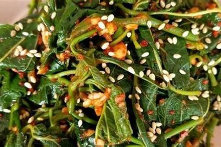 用树叶做钾肥好,还是腐烂以后做有机肥好？如何有效利用？