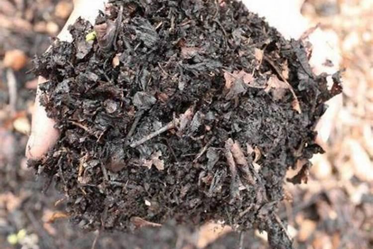 用树叶做钾肥好,还是腐烂以后做有机肥好？如何有效利用