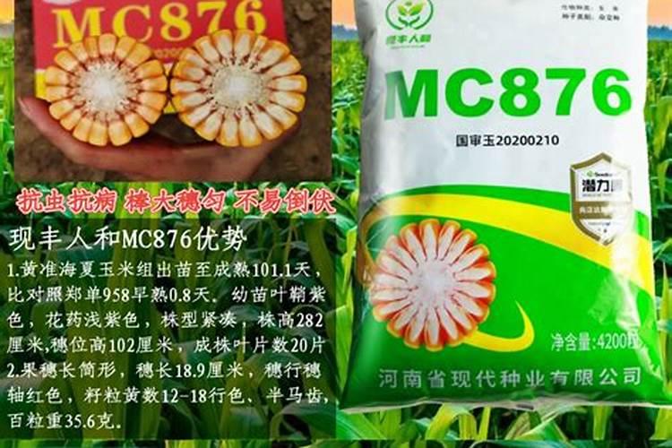 玉米适合什么肥料