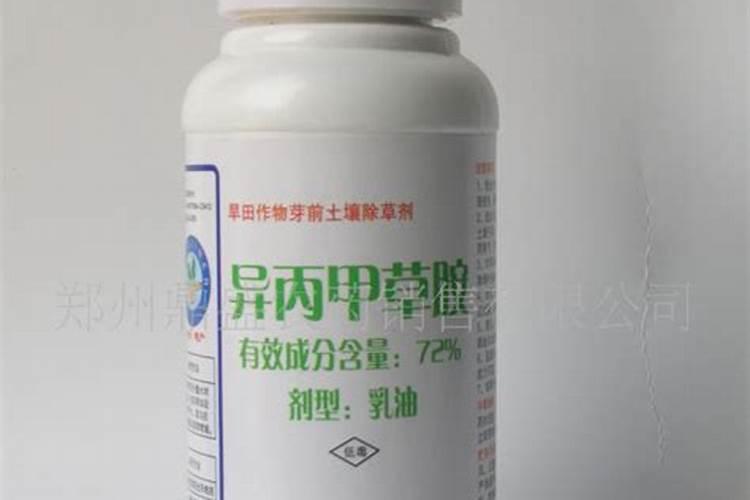 姜田用什么除草剂不伤姜苗 什么时候喷合适