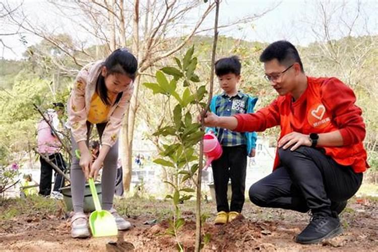 颗粒肥料怎么给花施肥？