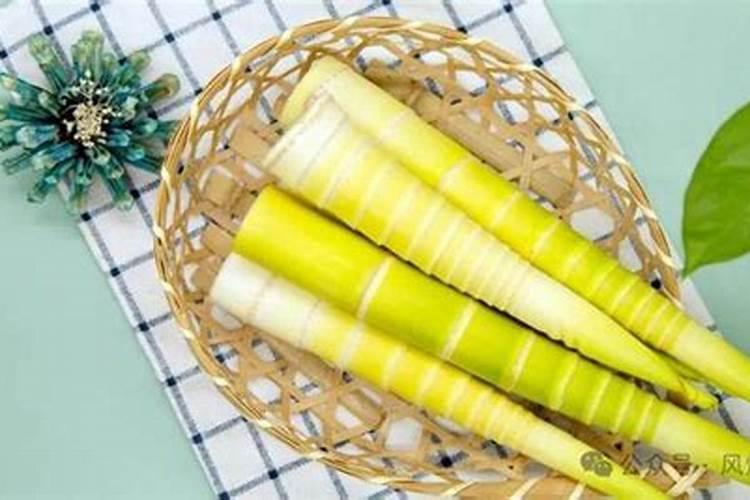 竹笋高产种植方法有哪些