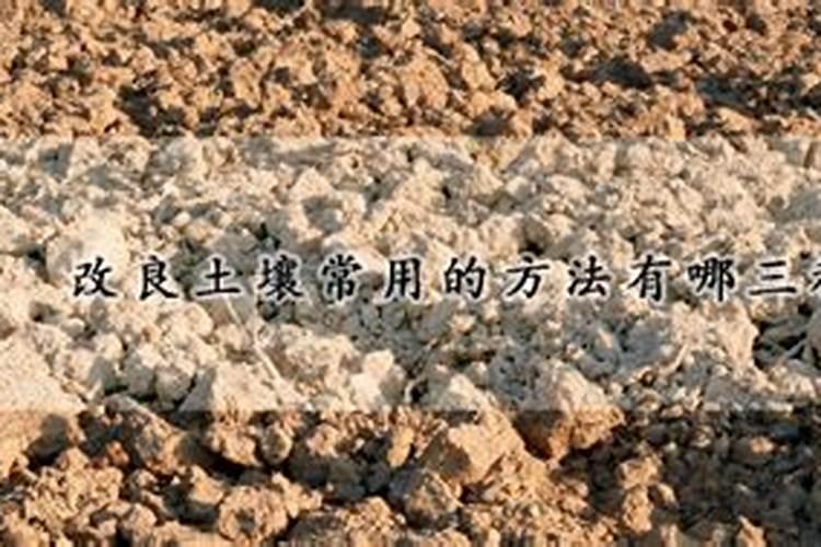 什么肥料可以治盐碱地