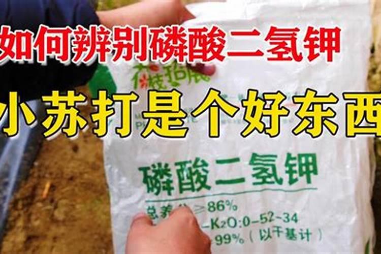种植蔬菜时小苏打真的可以当农药使用吗？为什么？