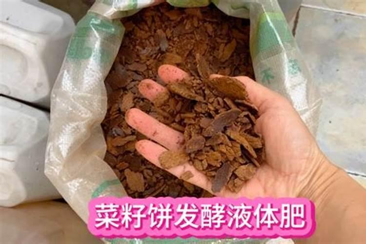 牡丹花苗种植有什么需要注意的吗