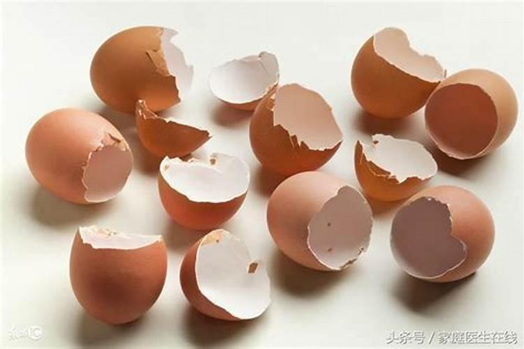 鱼蛋白肥料的使用技巧