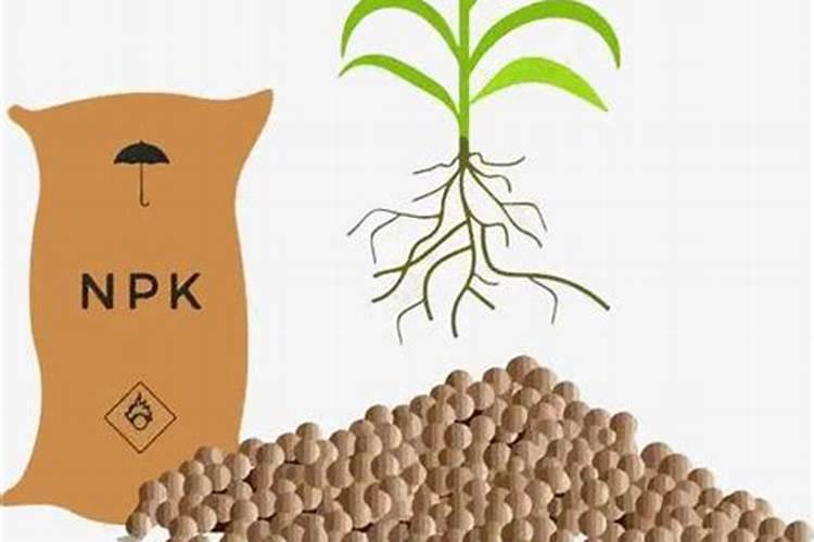 意大利有哪些资源？