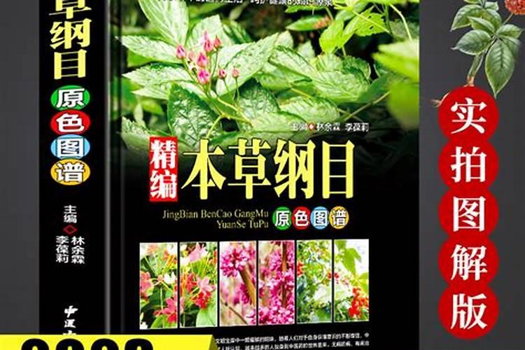 甜橙定植施肥技术