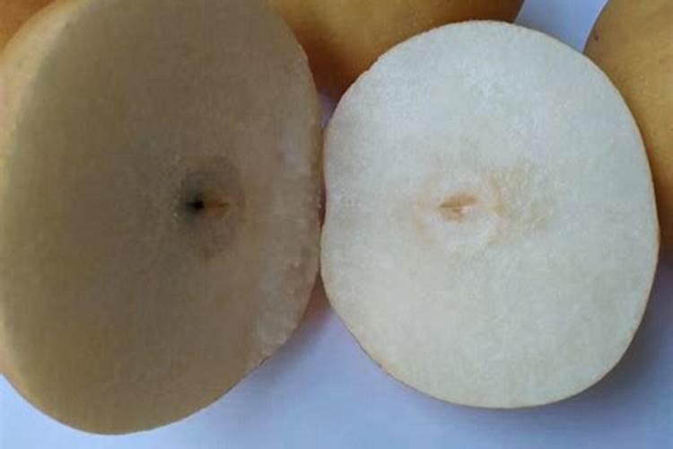 秋月梨什么时间施肥好 如何合理施肥好