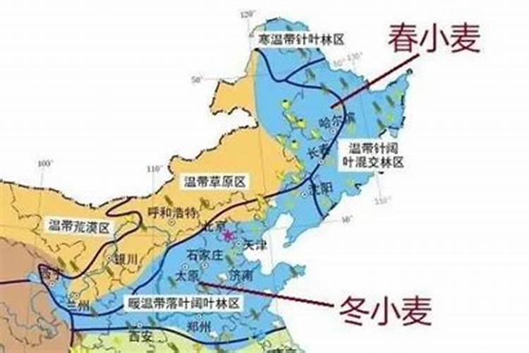 请问一下小麦用叶面肥好处哪些