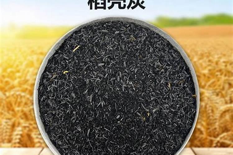 稻壳炭适合种植什么花容易成活？
