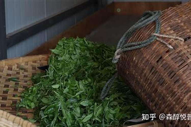 茶叶化肥使用方法如何使用 茶叶化肥使用方法