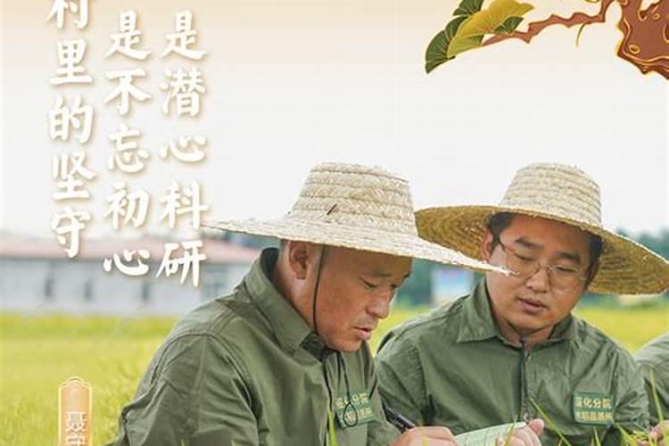 山东百科丰肥业有限公司企业简介