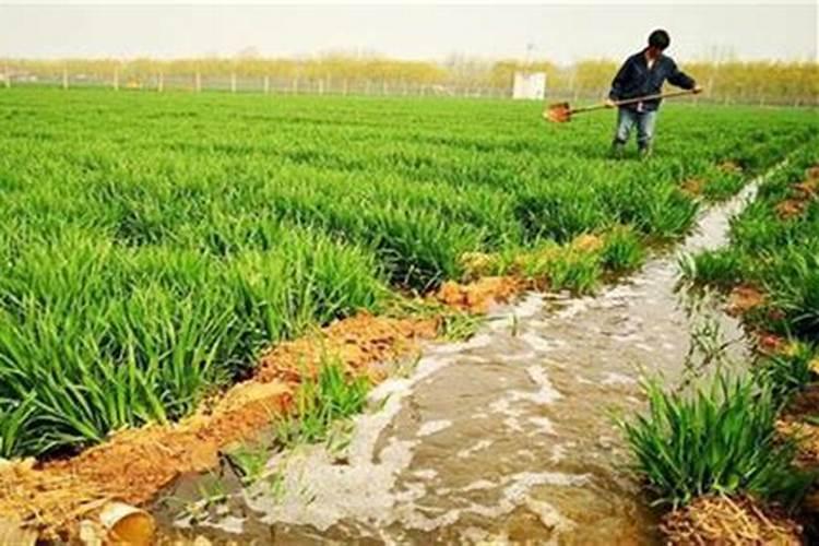 沼气液怎么利用