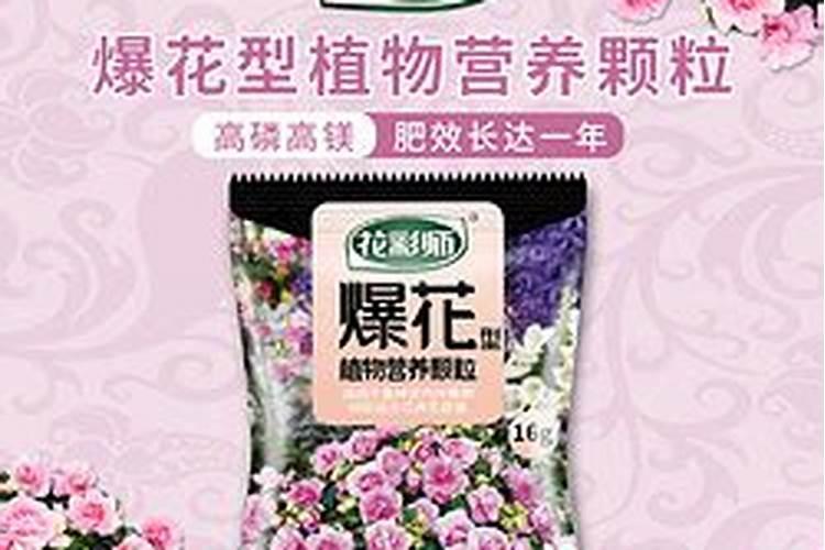 花肥哪个品牌好