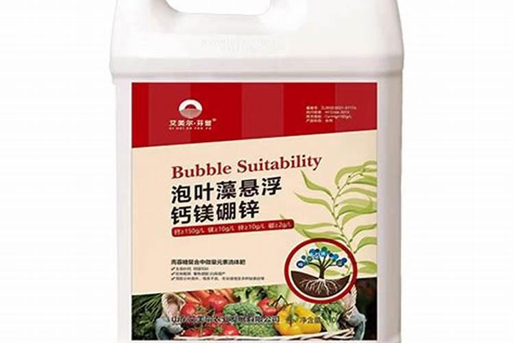 桃树苗怎么防治病害？
