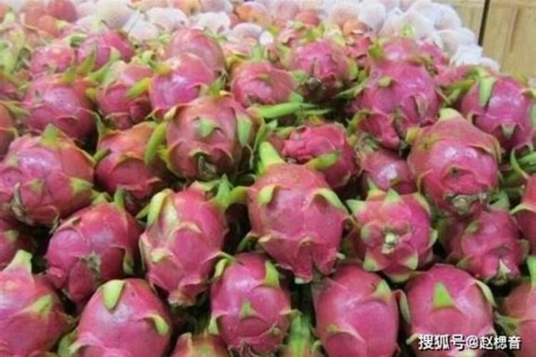 哪个熟悉,红心火龙果苗几年结果？有网友知道吗？