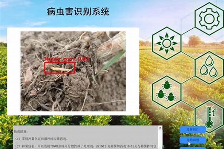 氮磷钾肥哪种肥料抗病虫害(氮磷钾肥料可以消灭虫害吗)
