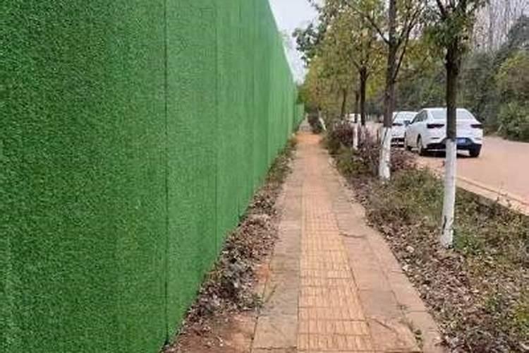 用什么草坪专用肥好